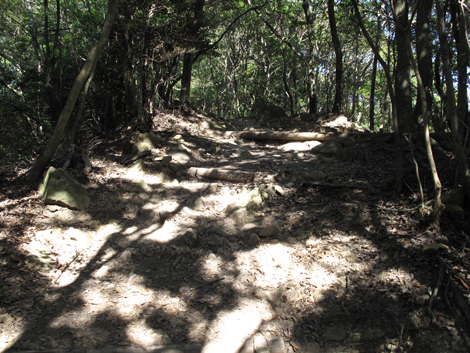 20140922hike (260)